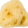 Spugna Levantiner