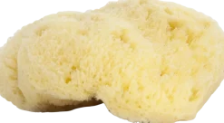 Spugna Naturale di Mare, 9-10 cm