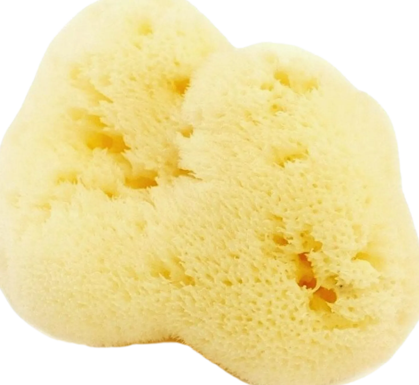 Spugna Naturale Fine Dama Sbiancata, 4-5 g (4 g)