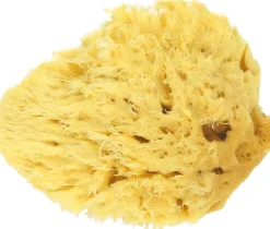 Spugna Naturale Honeycomb, S