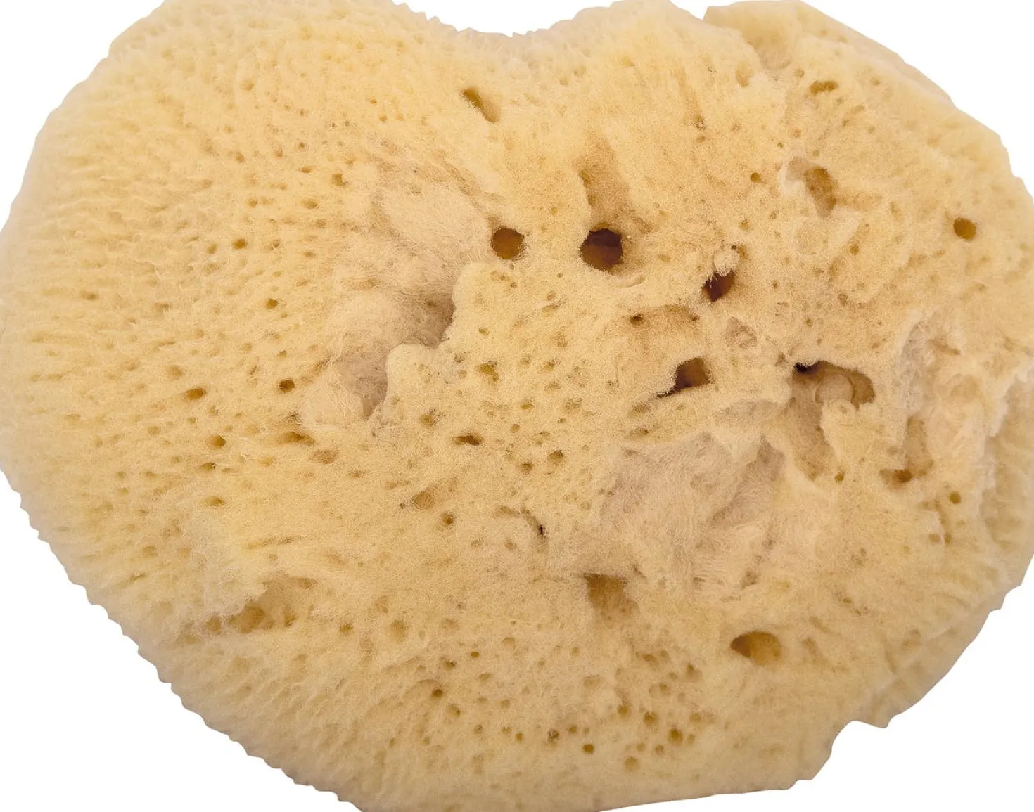 Spugna per Neonati e Bambini