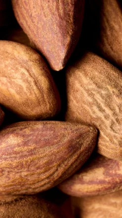 Sweet Almond Oil, 50 ml