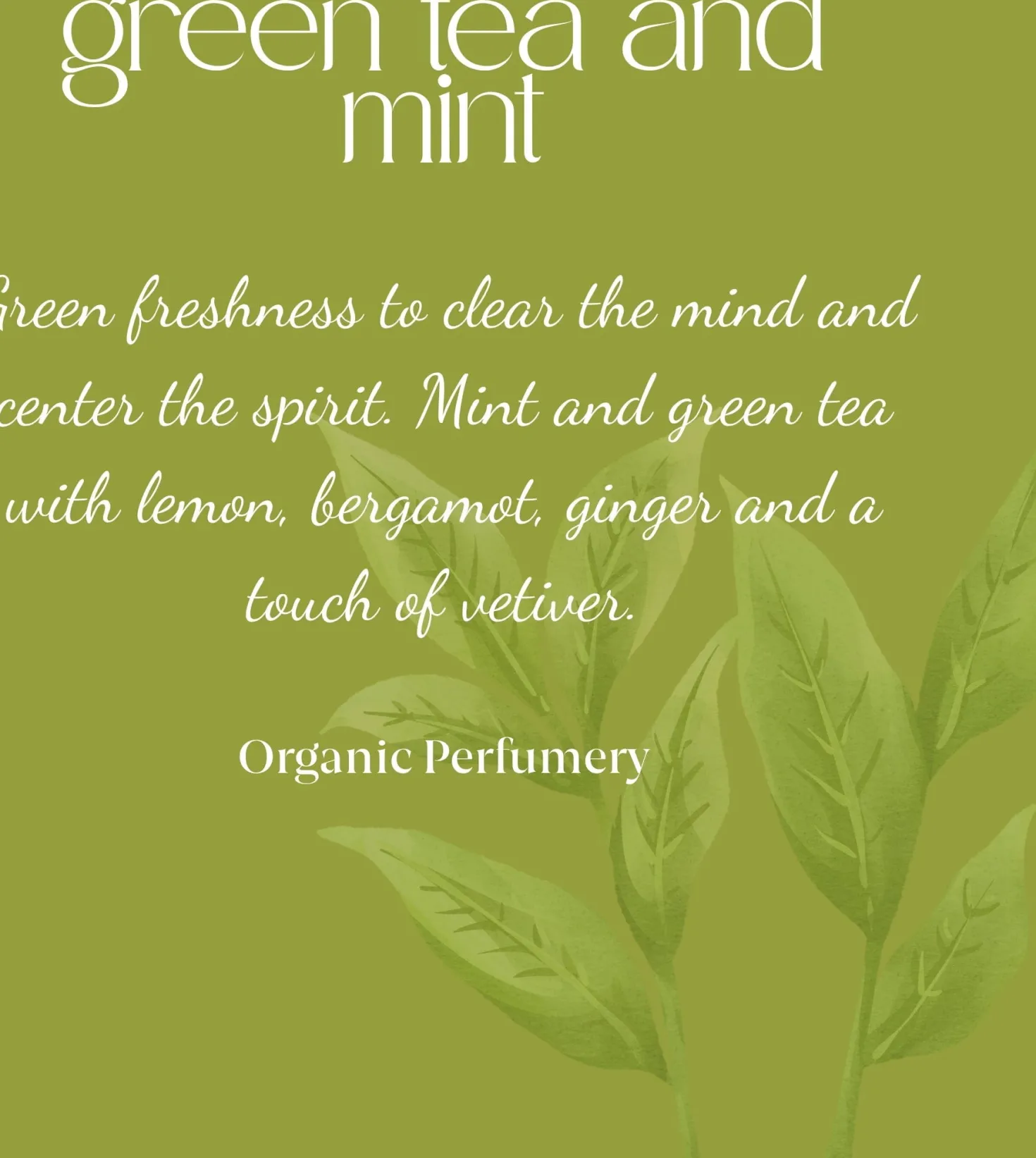 Tea & Mint Organic Fresh Fragrance, 200 ml