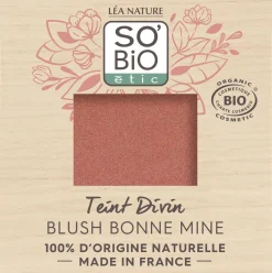 Teint Divin Rouge, 01 Bois de Rose (3 g)