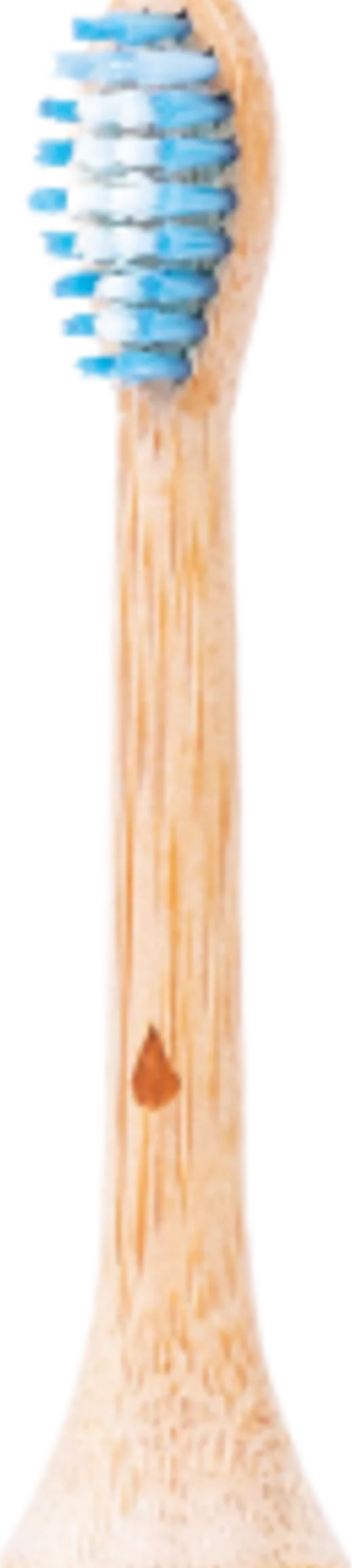 Testine Bamboo Sonic Professional