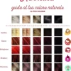 Tinta Vegetale Color Nocciola - Lakshmi, 100 g
