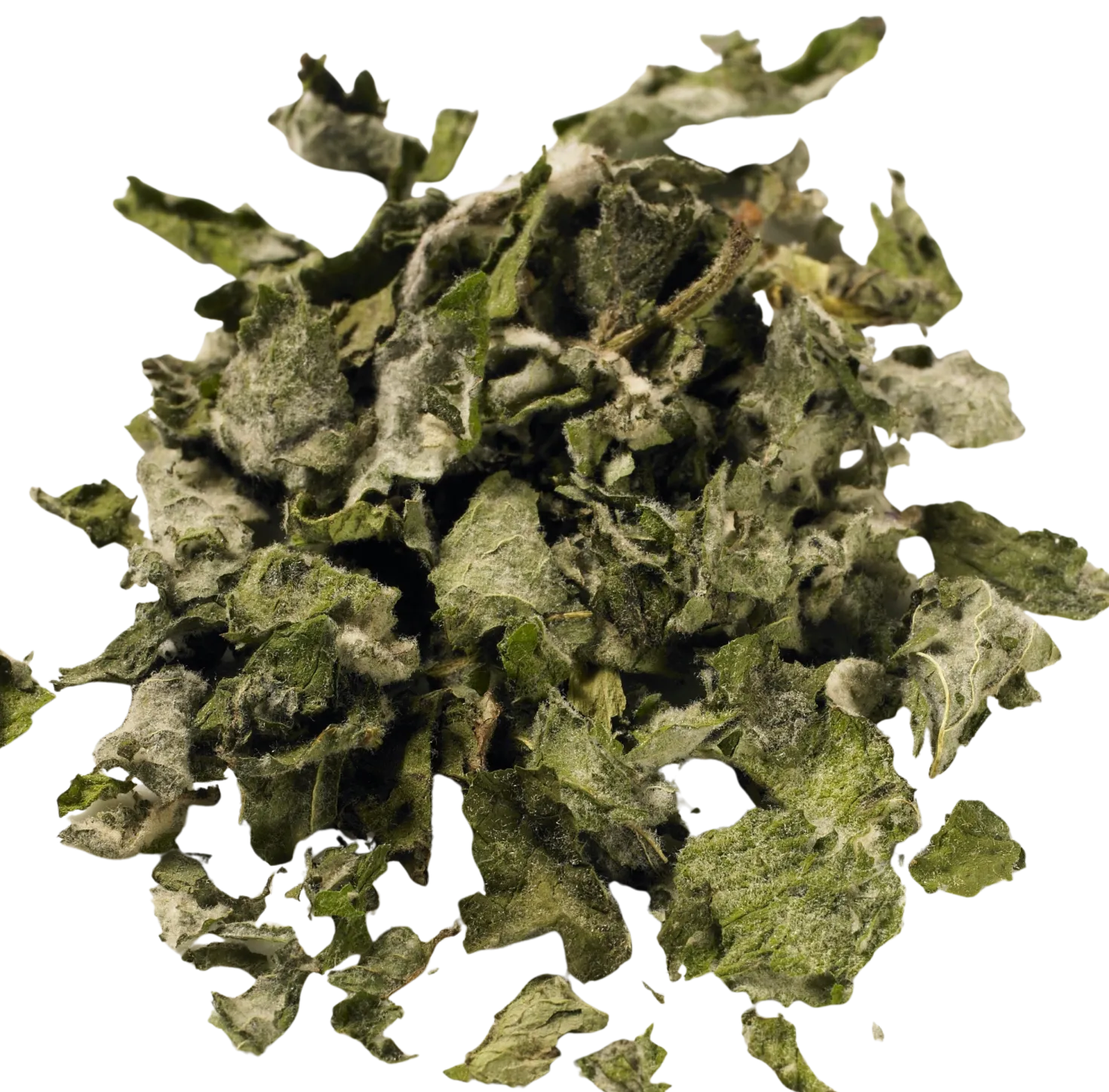 Tisana Bio - Menta di Mela, 50 g