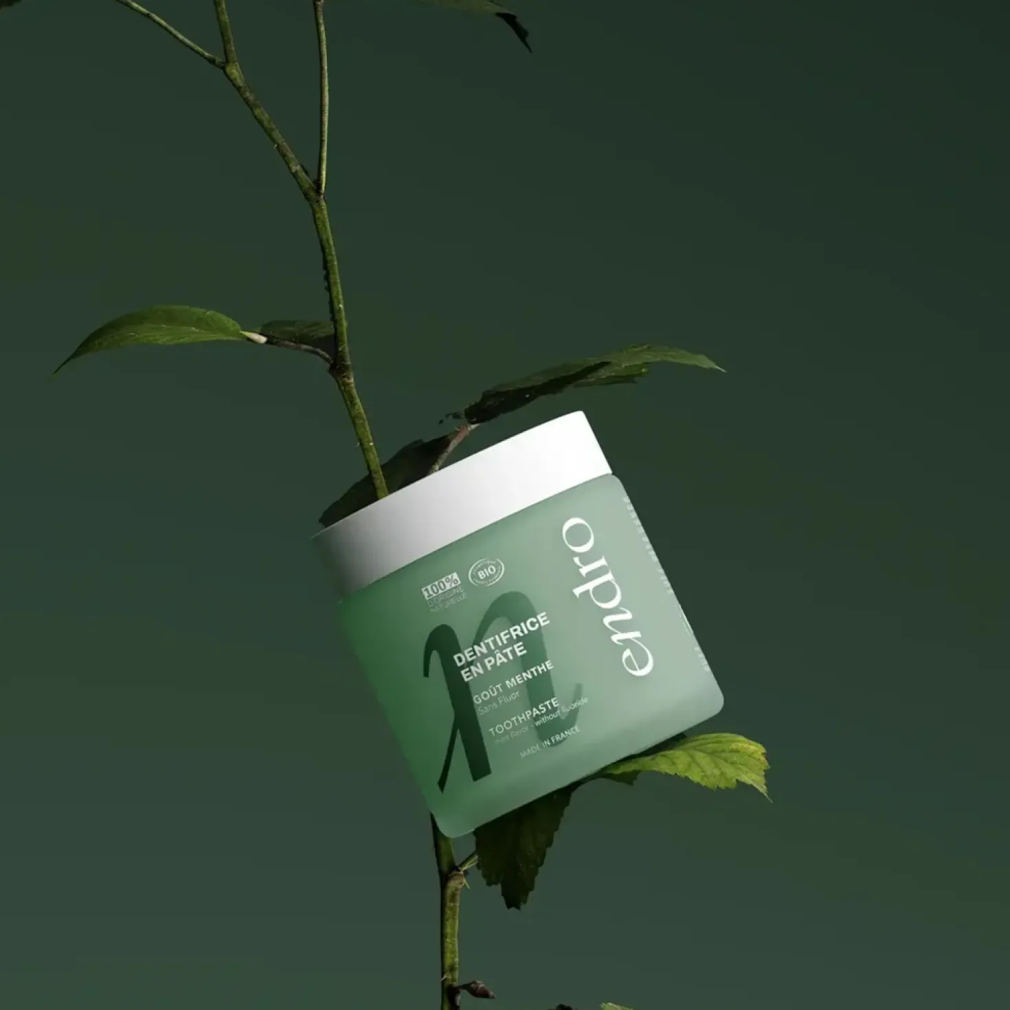 Toothpaste Mint, 185 g