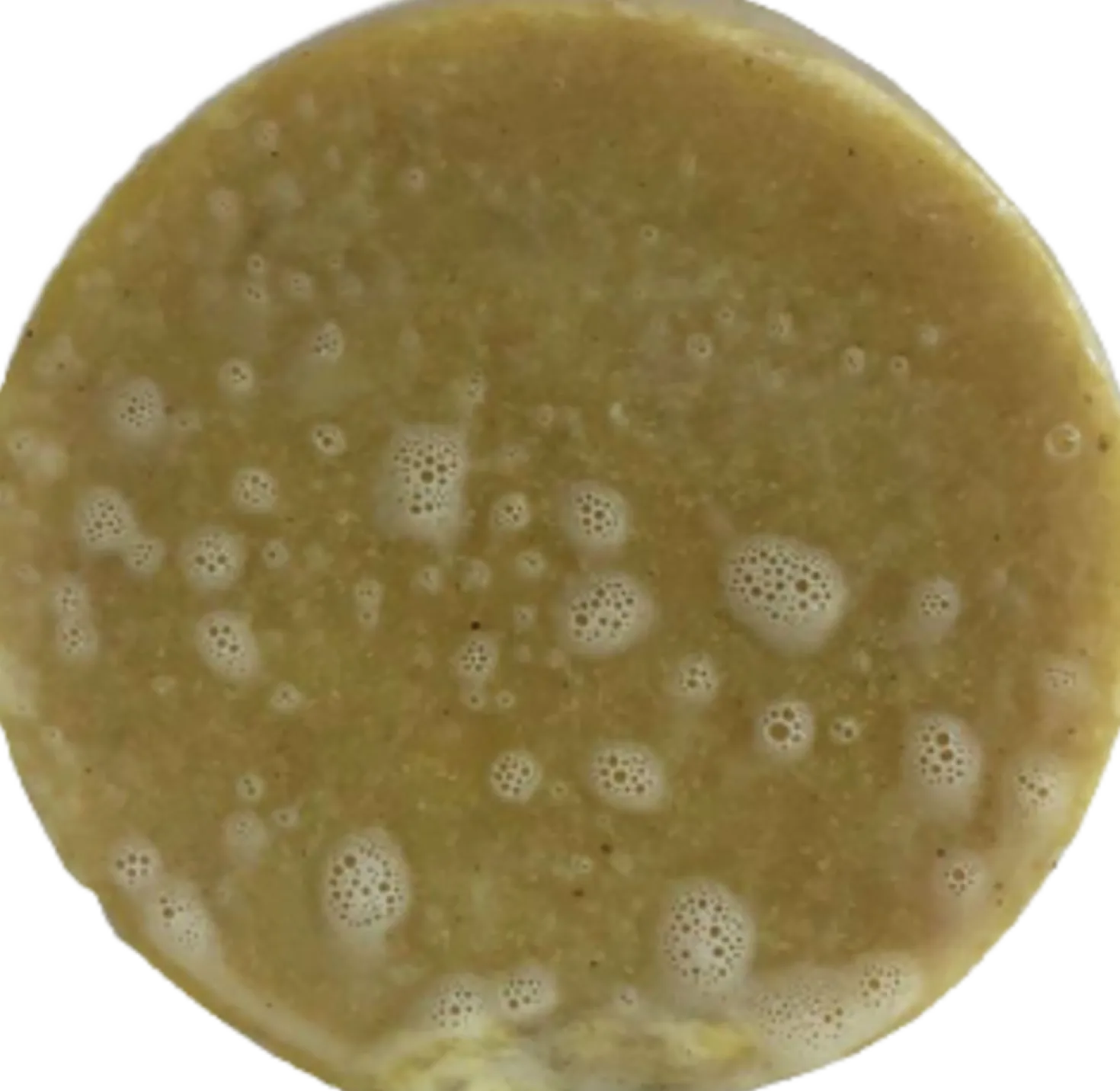 TRIBE SJAMPOE ARIA Detergente Solido per Capelli, 55 g