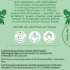 Tè Verde Mint Matcha Green Bio, 20 bustine di tè (30 g)