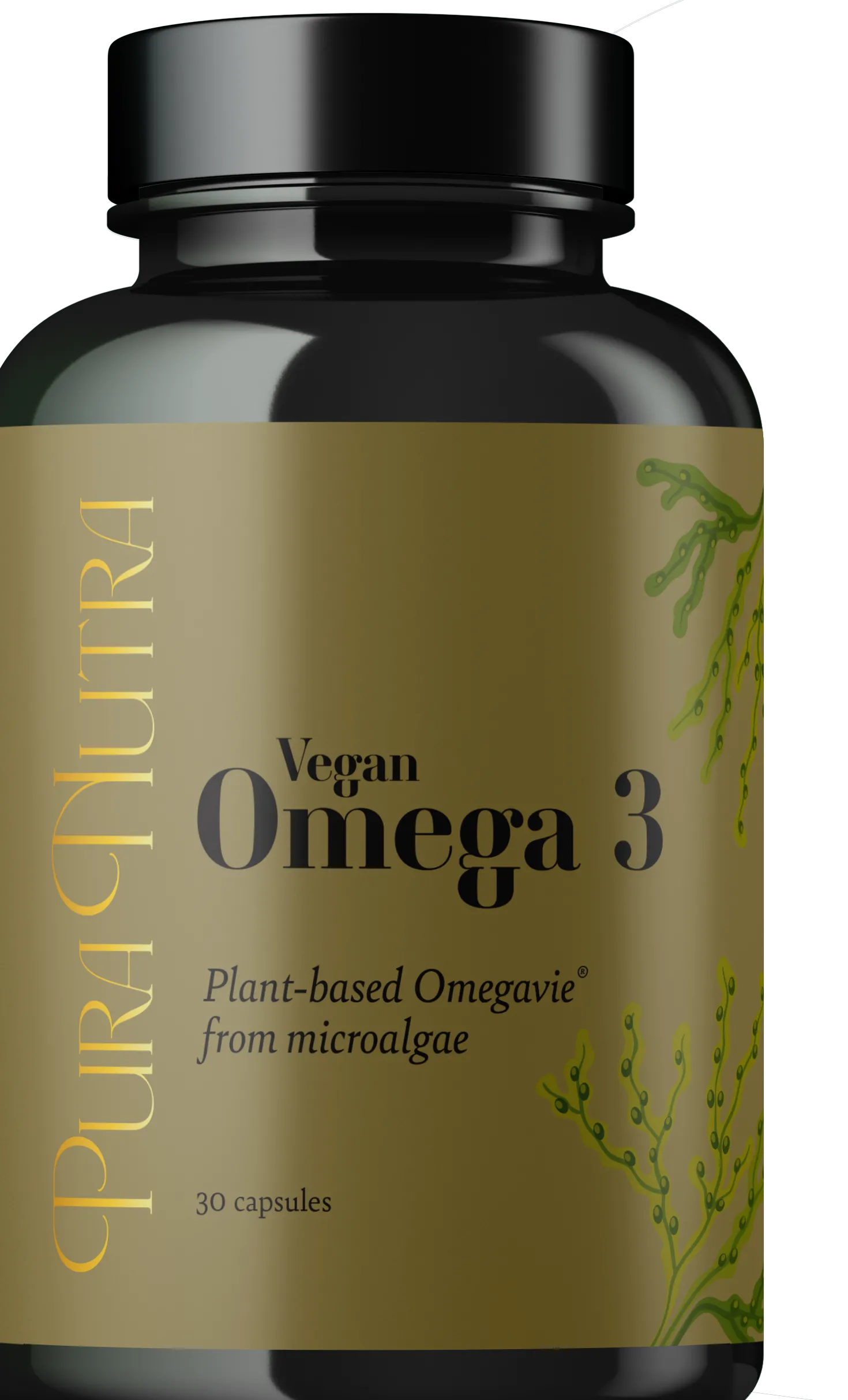 Vegan Omega 3, 30 capsule