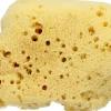 Velvet Sponge