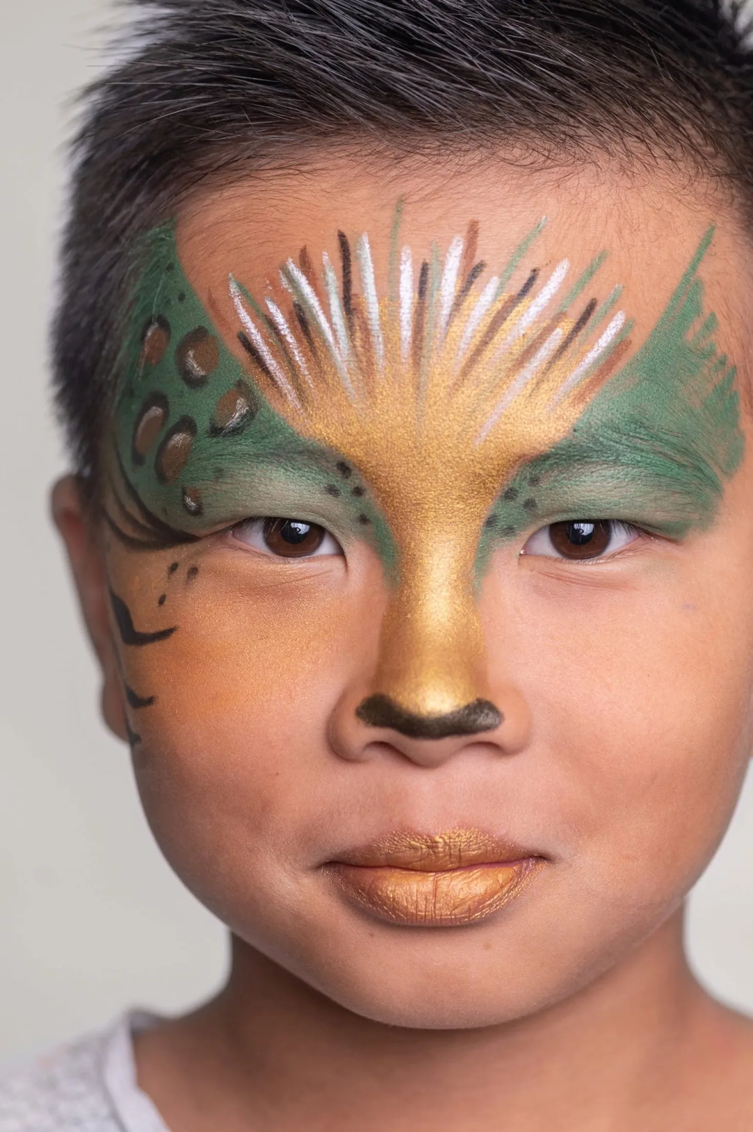 Wild Life Face Paint Pencils Set