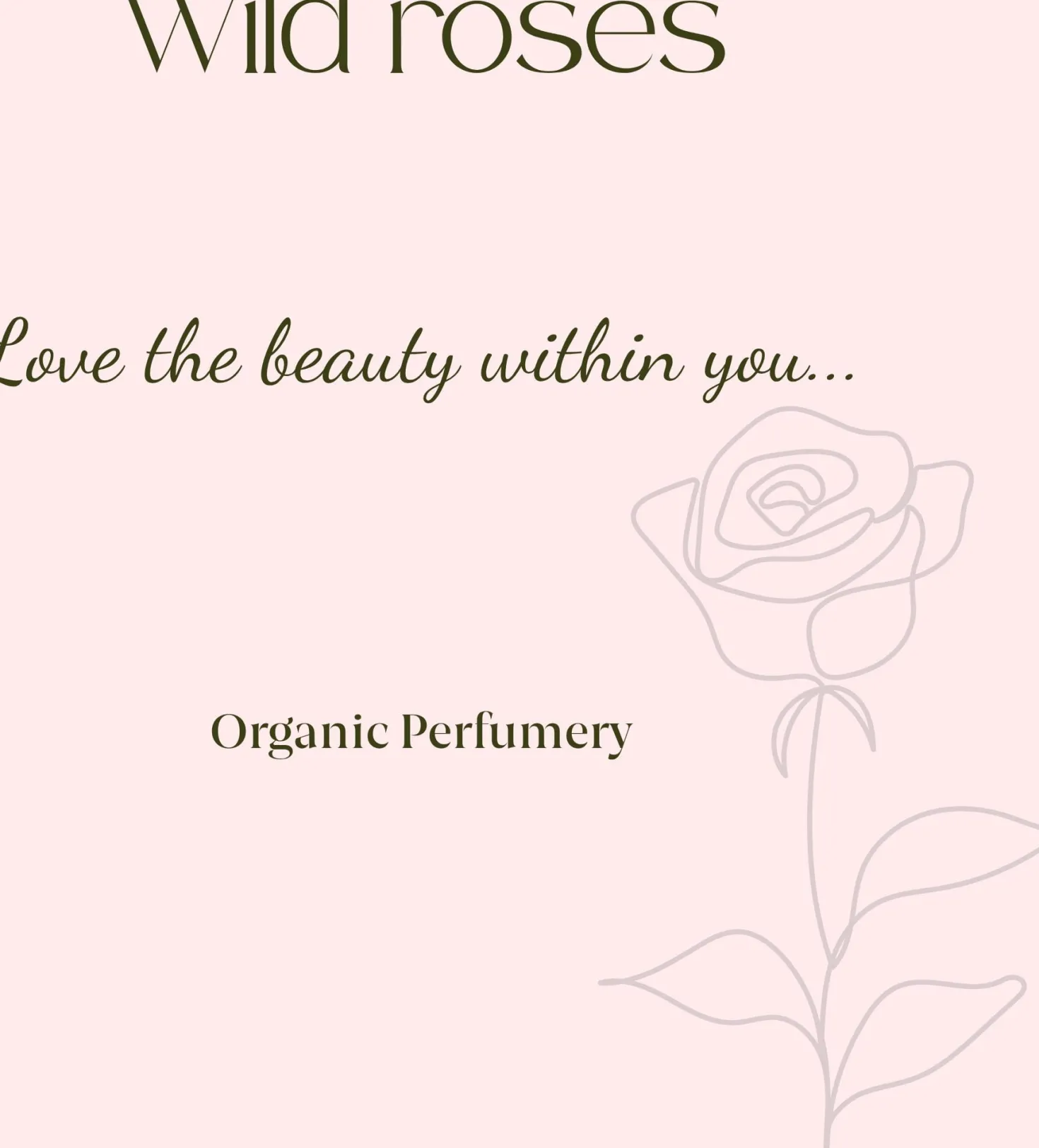 Wild Rose Organic Fresh Fragrance, 200 ml